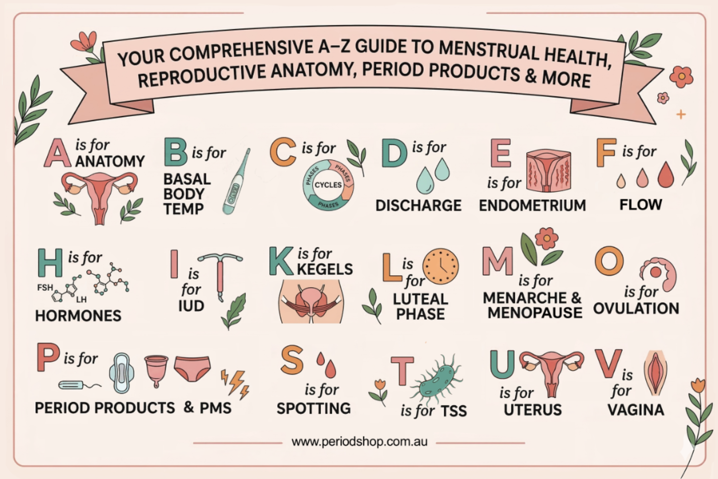 The Ultimate Menstrual Health Glossary