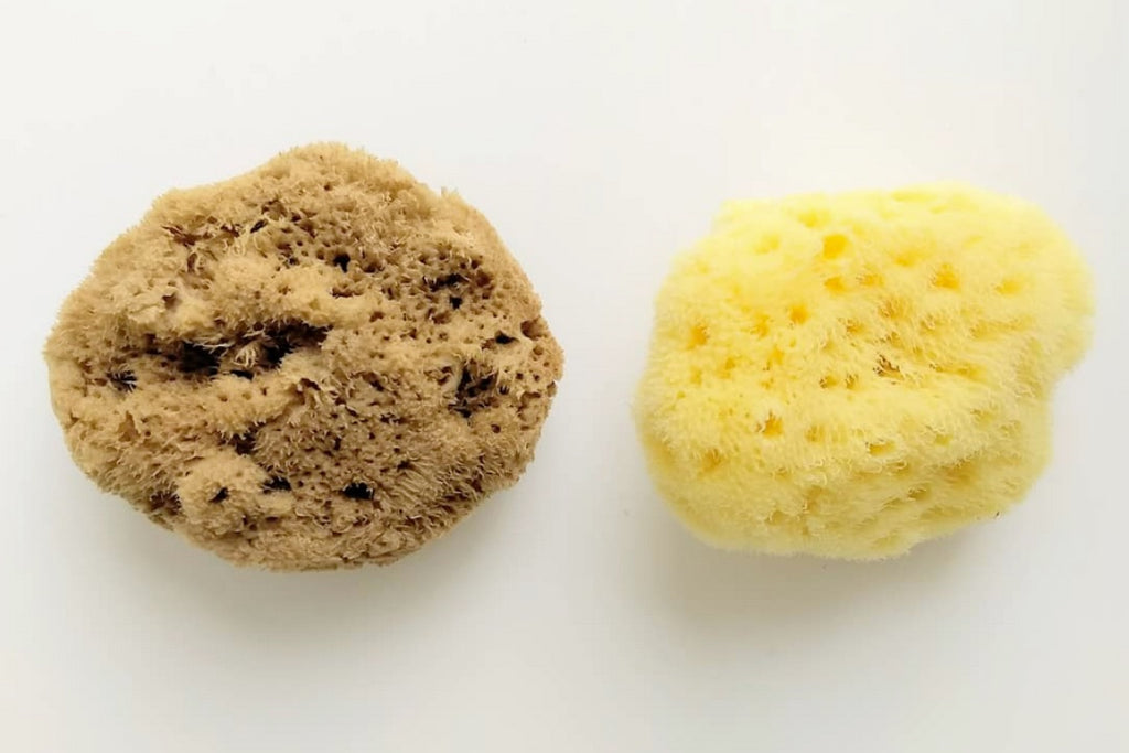 How Often You Should Replace a Natural Sponge