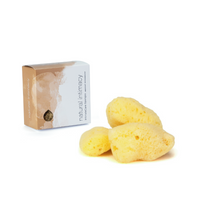Menstrual sea sponge set with box and three yellow bleached sponges