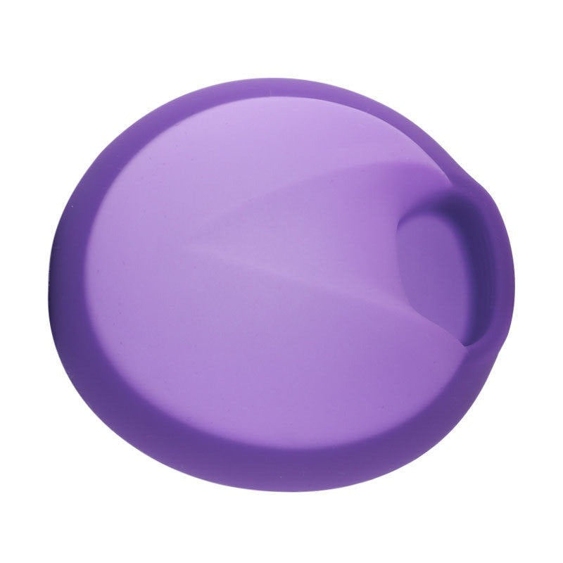Orbo Reusable Menstrual Disc - Purple