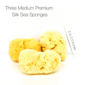 NATURAL INTIMACY Menstrual Sea Sponges - Bleached Medium (3 Pack)
